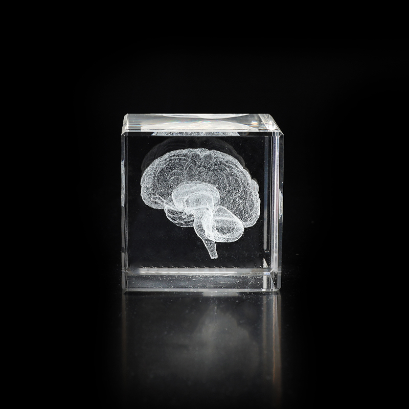 حلية مكعب منحوتة على شكل دماغ كريستال 5 سم مكعب ثلاثي الأبعاد